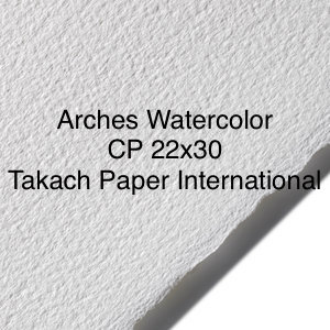 Arches Natural White Watercolor Paper - Rough, 22 x 30, 140 lb, Single  Sheet